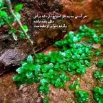 دانلود آهنگ بیشتر از همیشه نیازت دارم “رپ احساسی” از مهیار